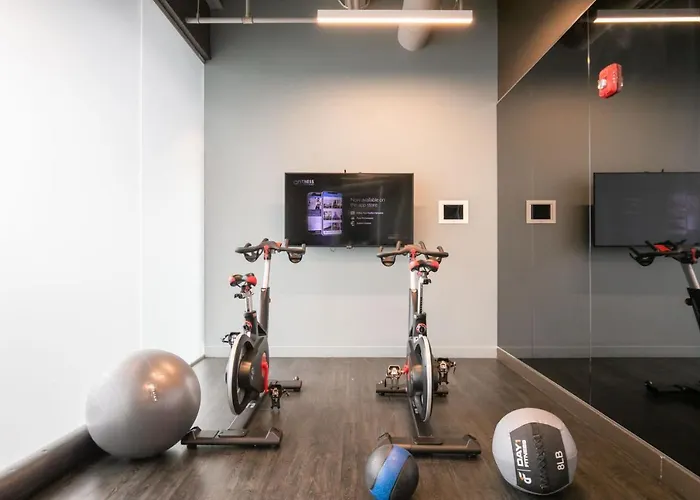 W Loop 2br W Gym Pool In Heart Of Greektown Chi-540